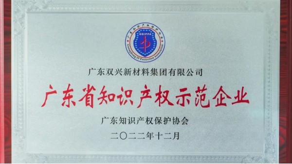 永利app集团荣获“知识产权示范企业”荣誉